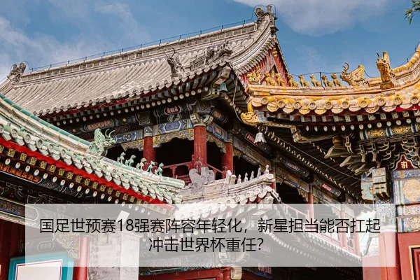 guo-zu-shi-yu-sai-qiang-sai-zhen-rong-nian-qing-hua-xin-xing-dan-dang-neng-fou-kang-qi-chong-ji-shi-jie-bei-zhong-ren-2-731.jpg
