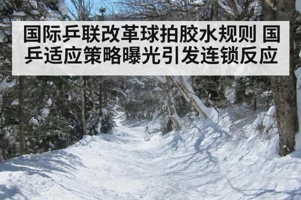 国际乒联改革球拍胶水规则 国乒适应策略曝光引发连锁反应