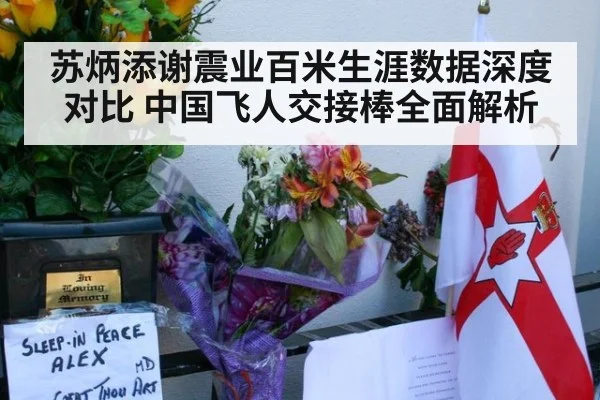 苏炳添谢震业百米生涯数据深度对比 中国飞人交接棒全面解析